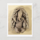 Search for dynasty postcards Artefacts