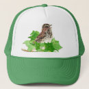 Search for sparrows hats Nature