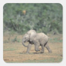 Search for walk in the park stickers Nature
