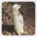 Search for albino stickers Wildlife