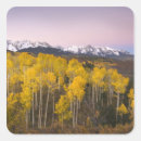 Search for colorado rockies stickers Nature