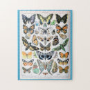 Search for butterfly puzzles Illustration