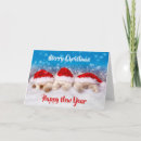 Search for bulk cards Cute