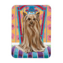 Search for crown rectangular magnets Portrait