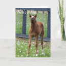 Search for horse birthday cards Animals
