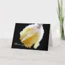 Search for daffodil cards Narcissus