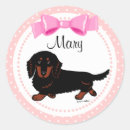 Search for long haired dachshund stickers Funny