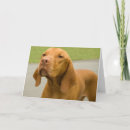Search for vizsla cards Dog lover