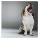 Search for dog breed tiles Dogs