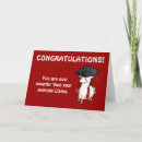 Search for llama funny cards Graduate