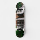 Search for scenic skateboards Landscape