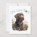 Search for lab note cards Pet