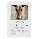 Search for greyhound memorial Dog lover