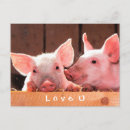 Search for funny pig postcards Piglet