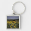 Search for plateau key rings Landscape