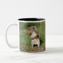 Search for eastern mugs Nature
