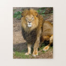Search for african wildlife puzzles Lion