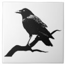Search for crow tiles Raven