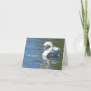 Search for reflections photo cards Swan