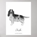 Search for cockerals posters Animal