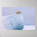 Search for pack art Alaska