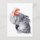Search for head postcards Red