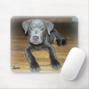 Search for pitbull mousepads Animal