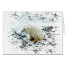 Search for global photography Warming