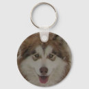 Search for alaskan malamute key rings Malamutes