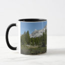 Search for mountain stream mugs National park