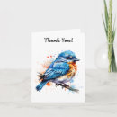 Search for bluebird cards Watercolor