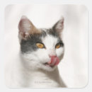 Search for lick stickers Cute