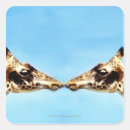 Search for giraffe head stickers Animal