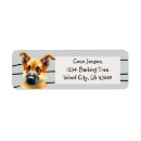 Search for with dogs return address labels Shepherd
