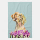 Search for crocus home living Illustration