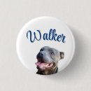Search for bulls badges Dog