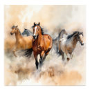 Search for prairie art Wild horse