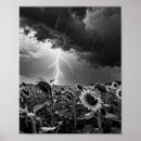 Search for thunder posters Weather