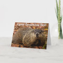 Search for groundhogs cards Happy groundhog day