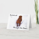 Search for funny dachshund christmas cards Snow