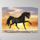 Search for horse black posters Stallion