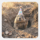 Search for birthday hat stickers Cute