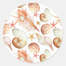 Search for shell pattern stickers Background
