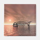 Search for fishes magnets For kids