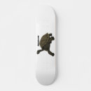 Search for the tortoise skateboards Reptile