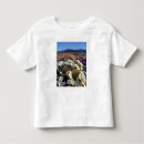 Search for rosa parks tshirts Anza borrego