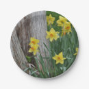 Search for daffodil plates Party