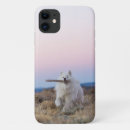 Search for branch cases Cute