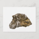 Search for natural science postcards Geology