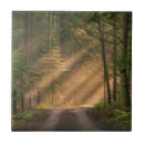 Search for pacific northwest tiles Rural